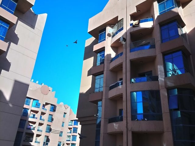 Tycoon Real Estate -  - +971 6 747 3726