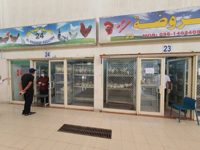 Bird Market - Ajman Industrial 1 - Ajman