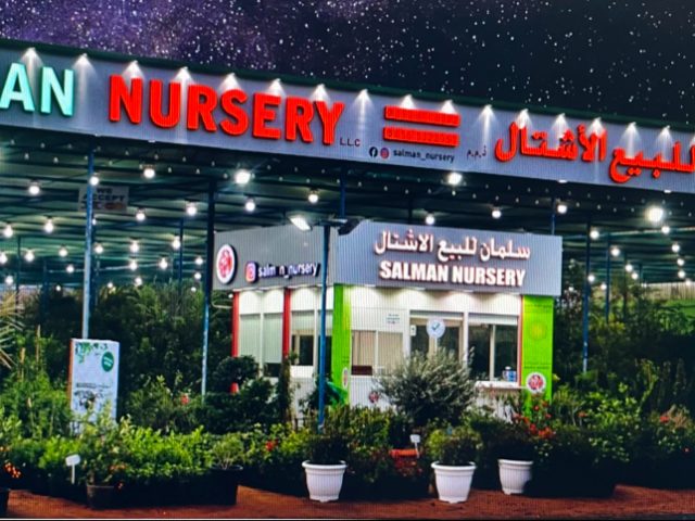 Salman Nursery LLC -  - +971 55 532 2953