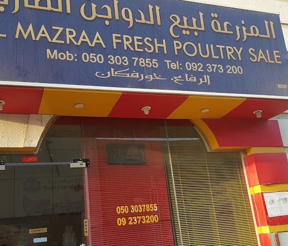 بيع المزرعة للدواجن الطازجة - خورفكان - الشارقة
