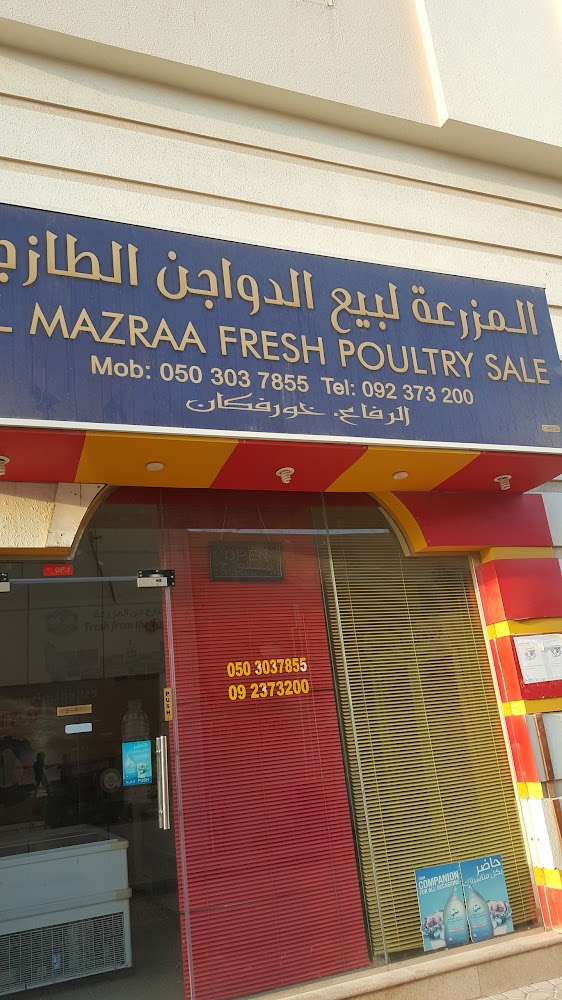 بيع المزرعة للدواجن الطازجة - خورفكان - الشارقة