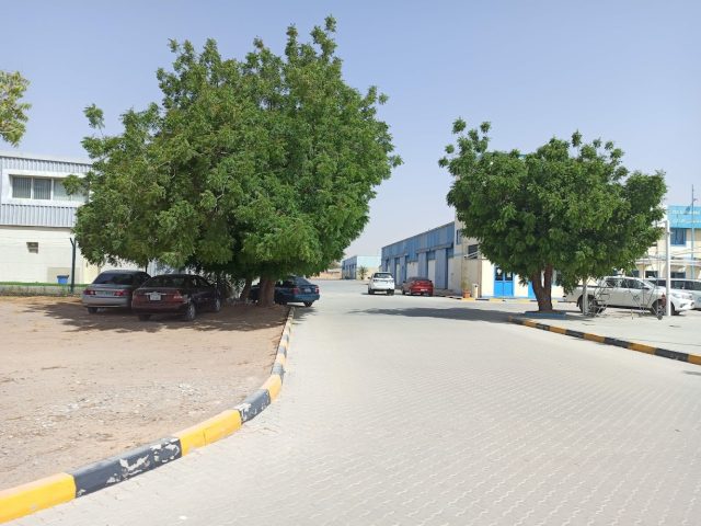 مكتب راكز الإداري - رأس الخيمة