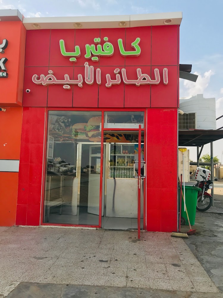 البحيرة للتأمين - العين - السيارات ، التأمين الطبي  -  أبوظبي