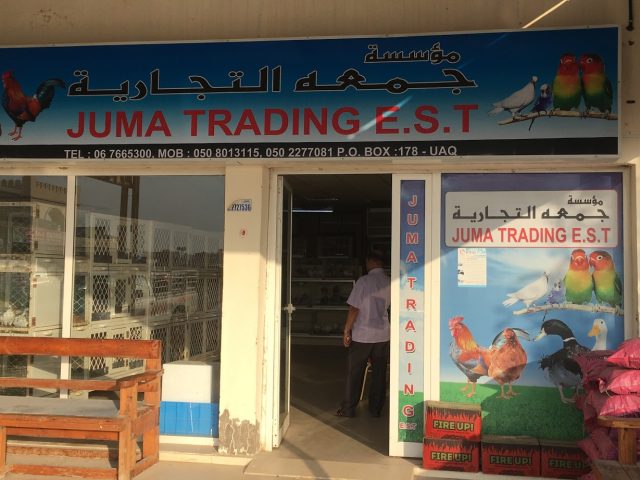 Juma Trading EST -  - +971 6 766 5300