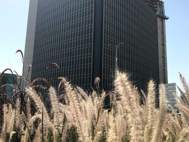 Abu Dhabi Islamic Bank (ADIB) - Zone 1 - Abu Dhabi