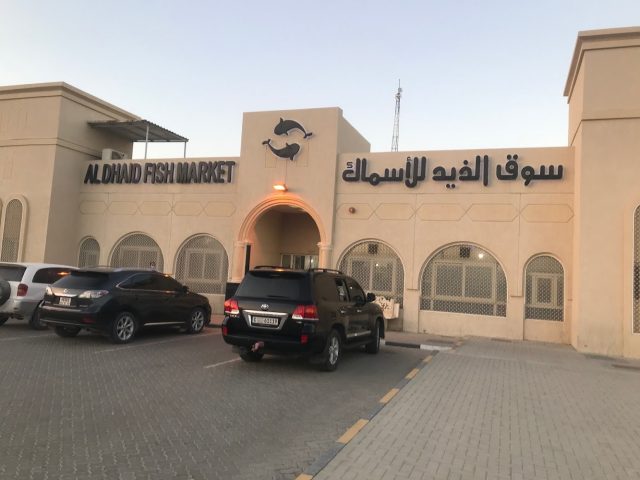 Al Dhaid Fish Market -  - Sharjah