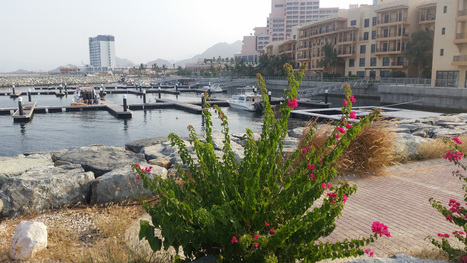 منتجع ميناء الفجر - دبا الفجيرة