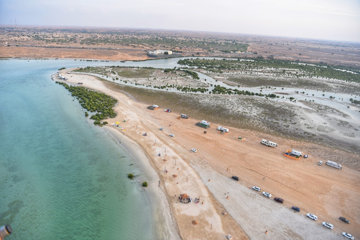 شاطئ المانغروف - أم القيوين