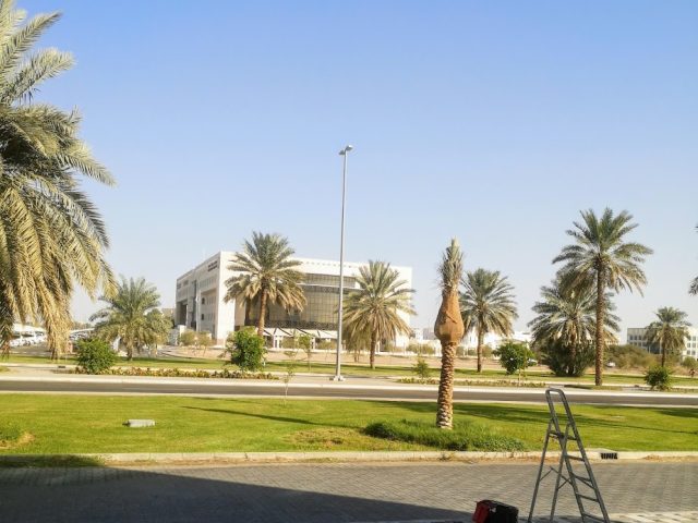 دائرة القضاء  -  أبوظبي