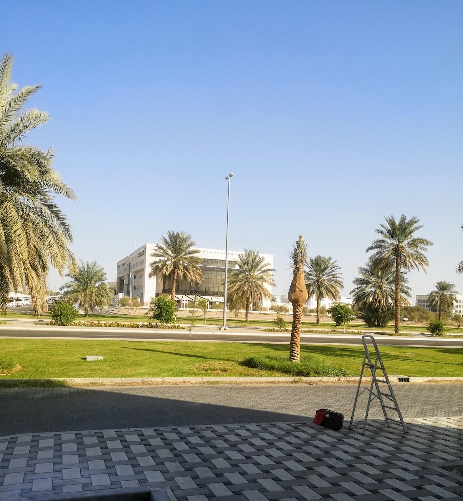 دائرة القضاء  -  أبوظبي