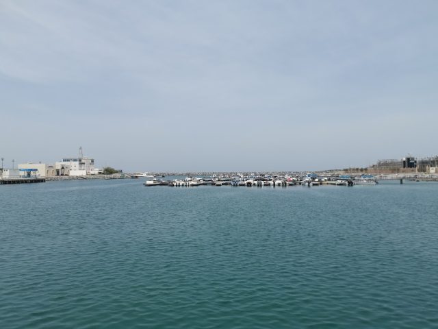 سوق سمك مدينة دبا الحصن - Gazertalhesin - Sharjah