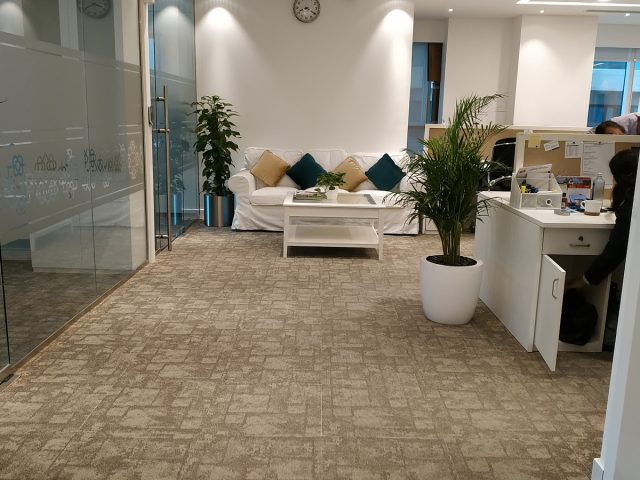 Cloudberry Auditors and Accountants -  - +971 4 333 1900