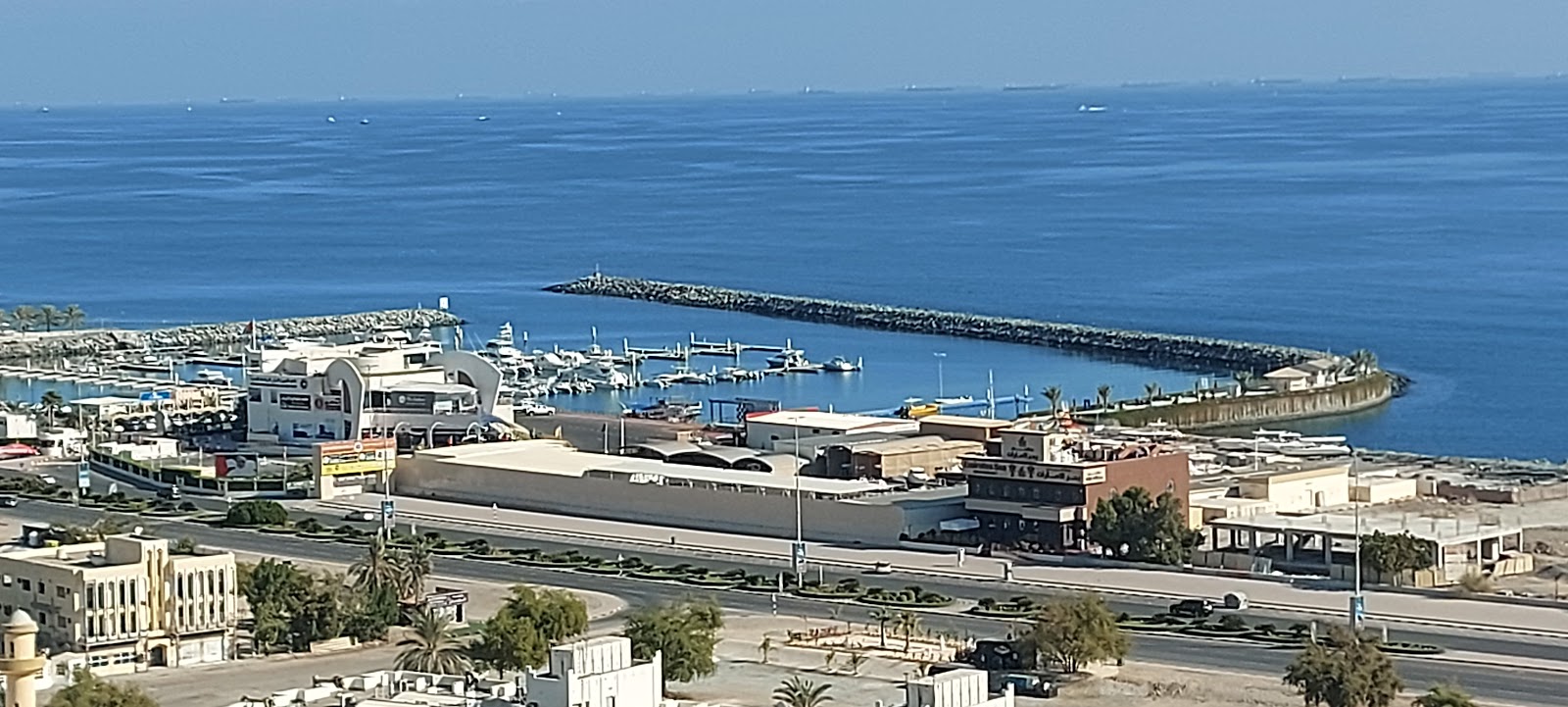 سوق الفجيرة للأسماك - الفجيرة