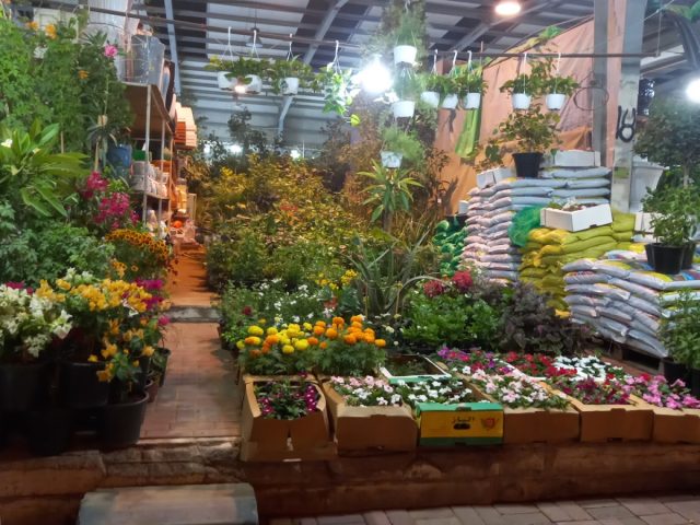 NOURIN AGRICULTURAL Ajman flower and plant market Shop# 1 -  - +971 55 979 5453