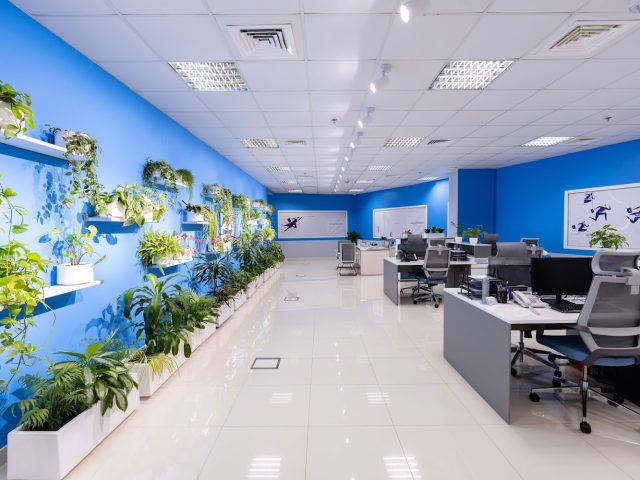 التميز في التدقيق واستشارات الأعمال - دبي