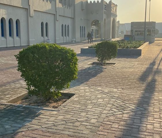 Traffic management and licensing of vehicles and drivers passing Sharjah -  - +971 6 566 0600