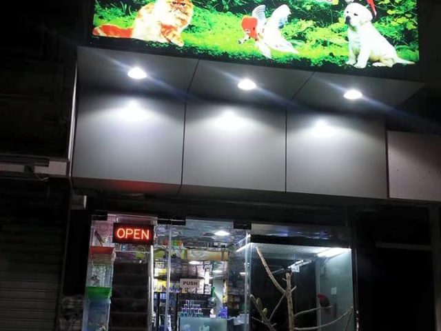 Ajman Animal Planet -  - +971 55 217 7006