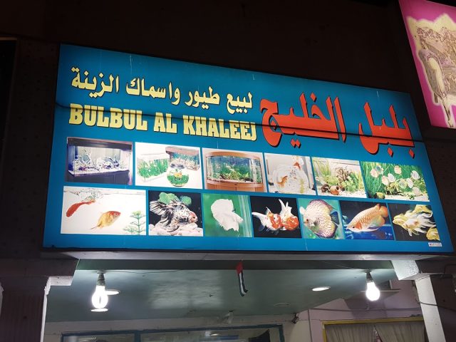 BulBul Al Khaleej -  - +971 50 714 8522
