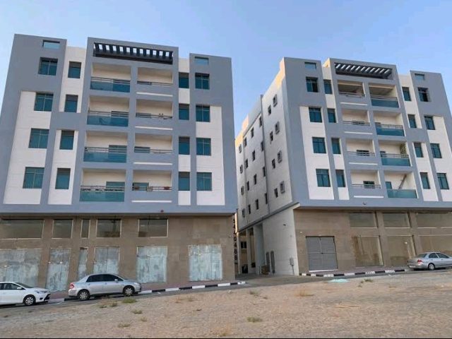 أطراف الأصابع سولوتيوس - عجمان