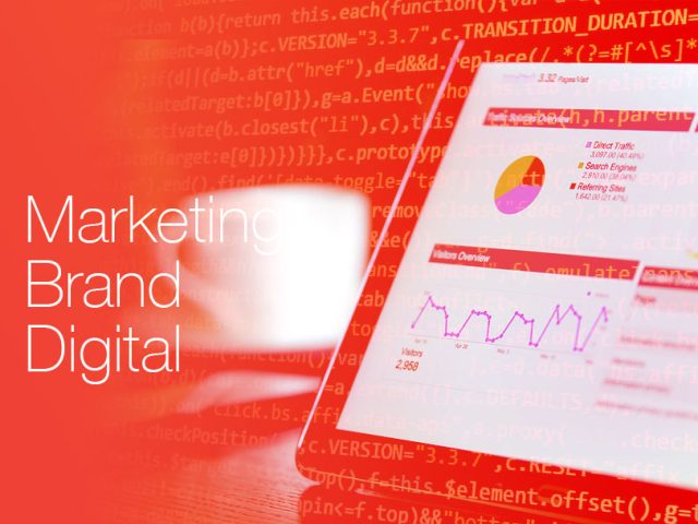 Tinderbox Digital Dubai - Website, Brand & Digital Marketing -  - +971 55 892 6829