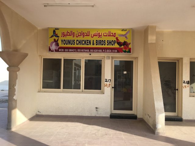 Younus Chicken And Birds Shop -  - +971 50 586 4213