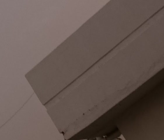 ليف للاستشارات - عجمان