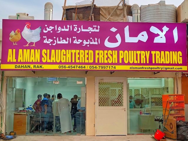 الامان لتجارة الدواجن الطازجة - ras  -  رأس الخيمة
