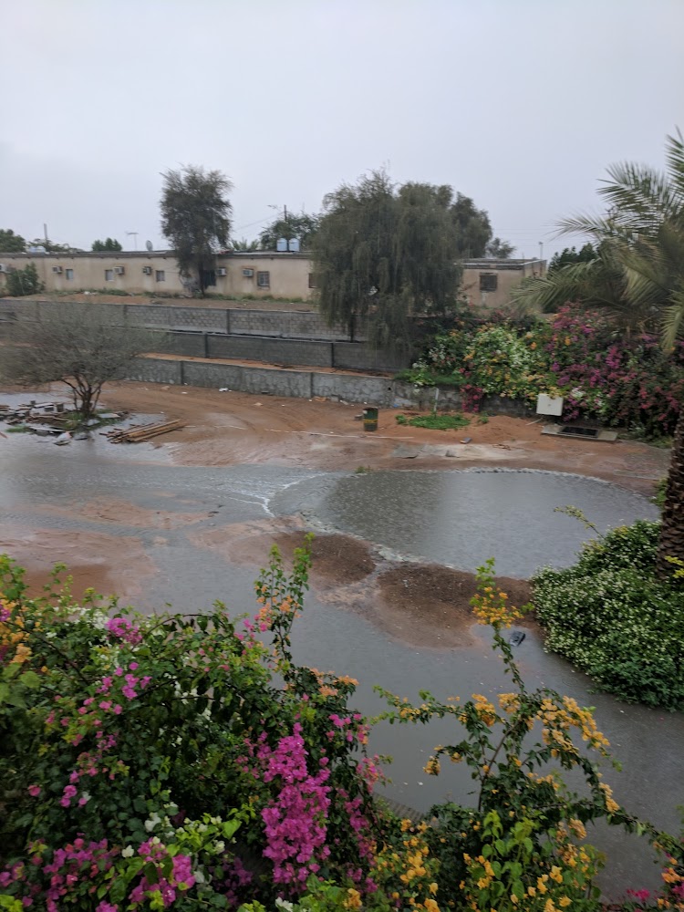 Sharjah  -  الشارقة