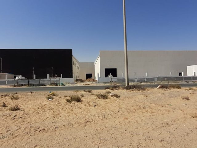 Grenew FZE -  - +971 56 695 0508