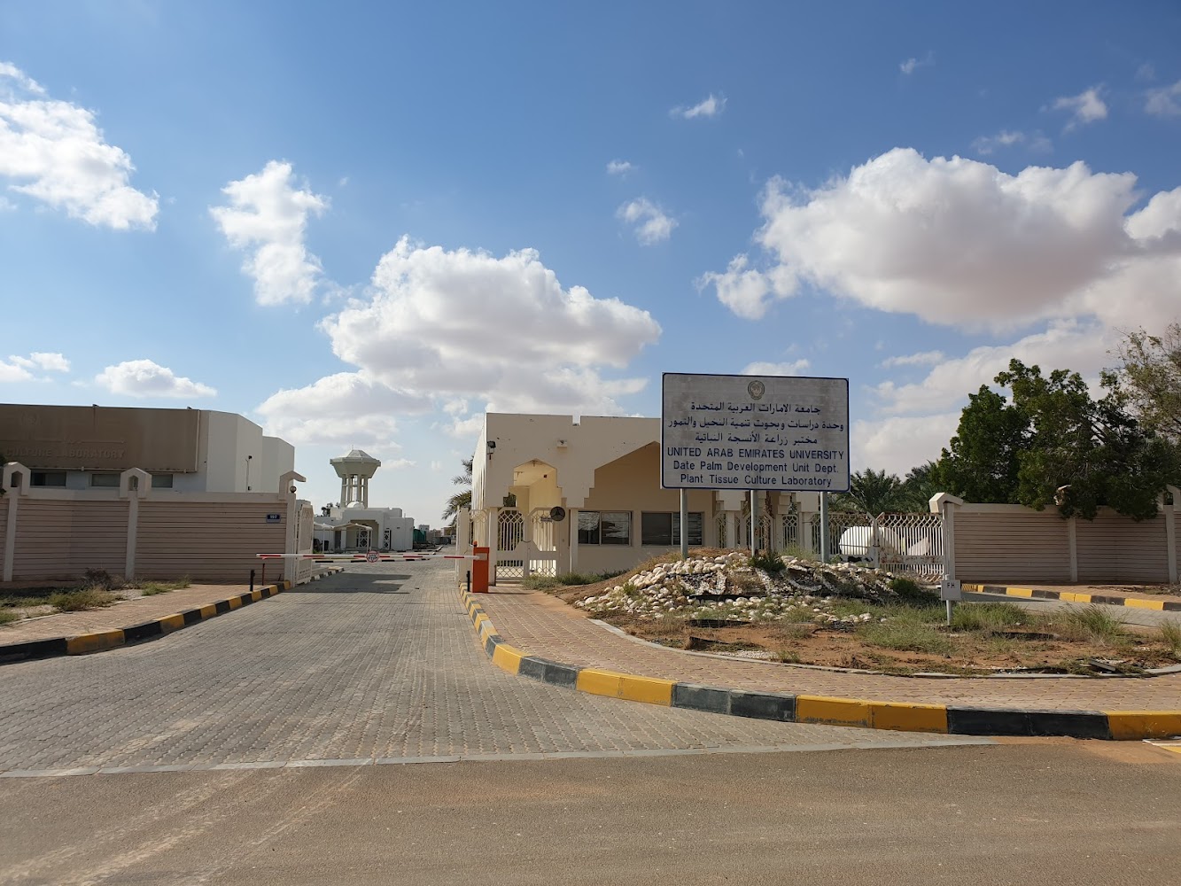 جامعة الإمارات العربية المتحدة  -  قسم تطوير نخيل التمر ، مختبر زراعة الأنسجة النباتية  -  أبوظبي
