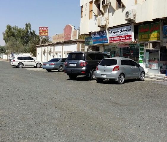 واحة الذيد للسياحة - الشارقة