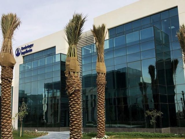 Drees and Sommer Gulf FZ LLC -  - +971 4 365 2522