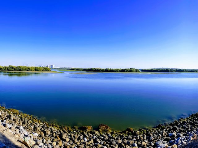 صحية غنية  -