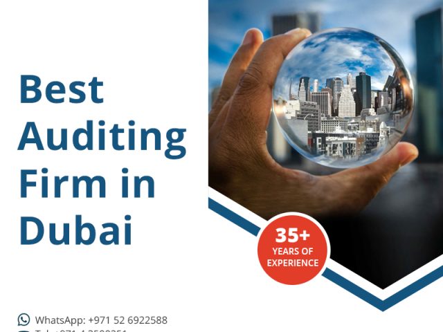 Audit Firms in Dubai - Top Auditors in UAE -  - +971 58 658 5338