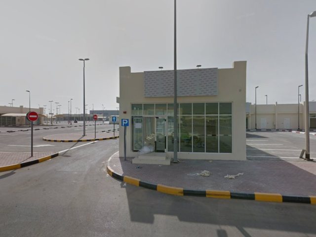 Seagull Insurance Services Company LLC -  - +971 6 555 0052